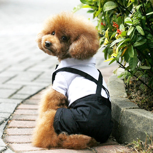 Wedding Costume
