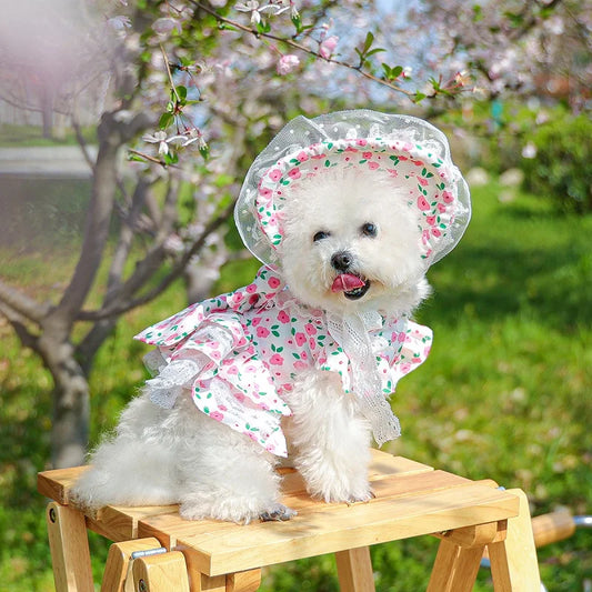 Floral dress, princess dress for dogs