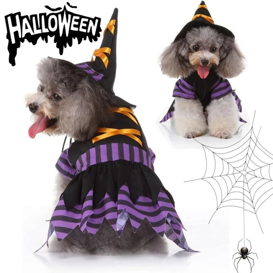 Dog Cat Witch Dress Costumes