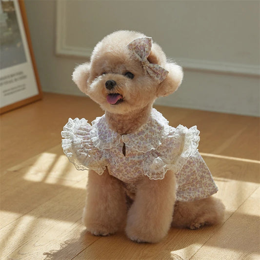Floral Printed Lace Ruffle Flutter Sleeves Dress