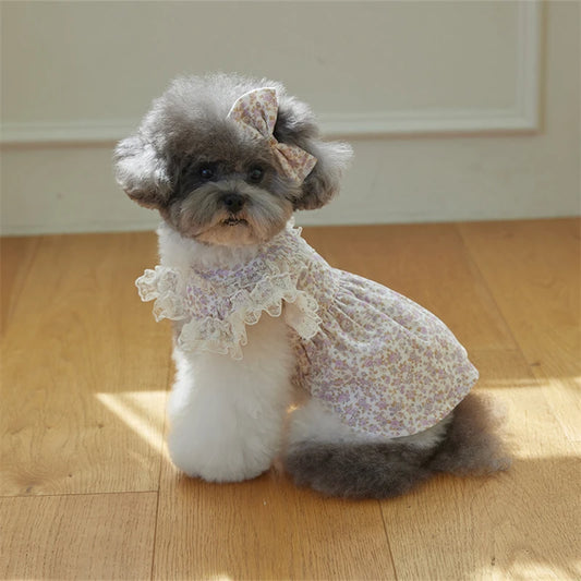 Floral Printed Lace Ruffle Flutter Sleeves Dress