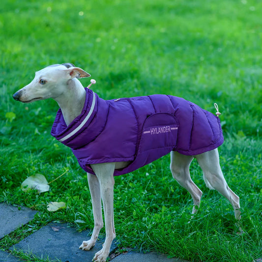 Costumes Jacket For Dogs