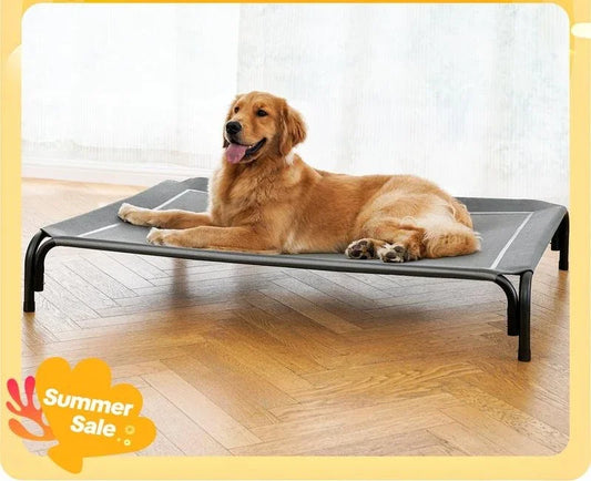 Elevated Dog Bed for Large Dogs
