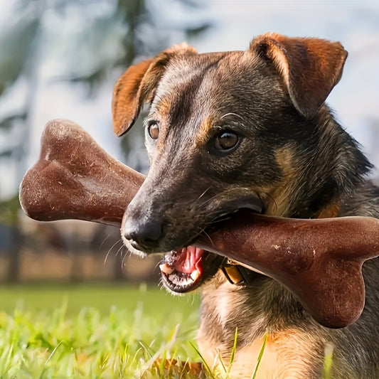 Beef-Flavored Durable Chew Toy